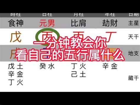 劍眉 面相 生肖屬性查詢